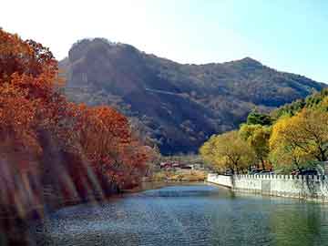 澳门天天免费精准大全，师宗网站建设